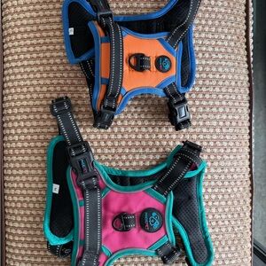 Colorful Dog Harness Set